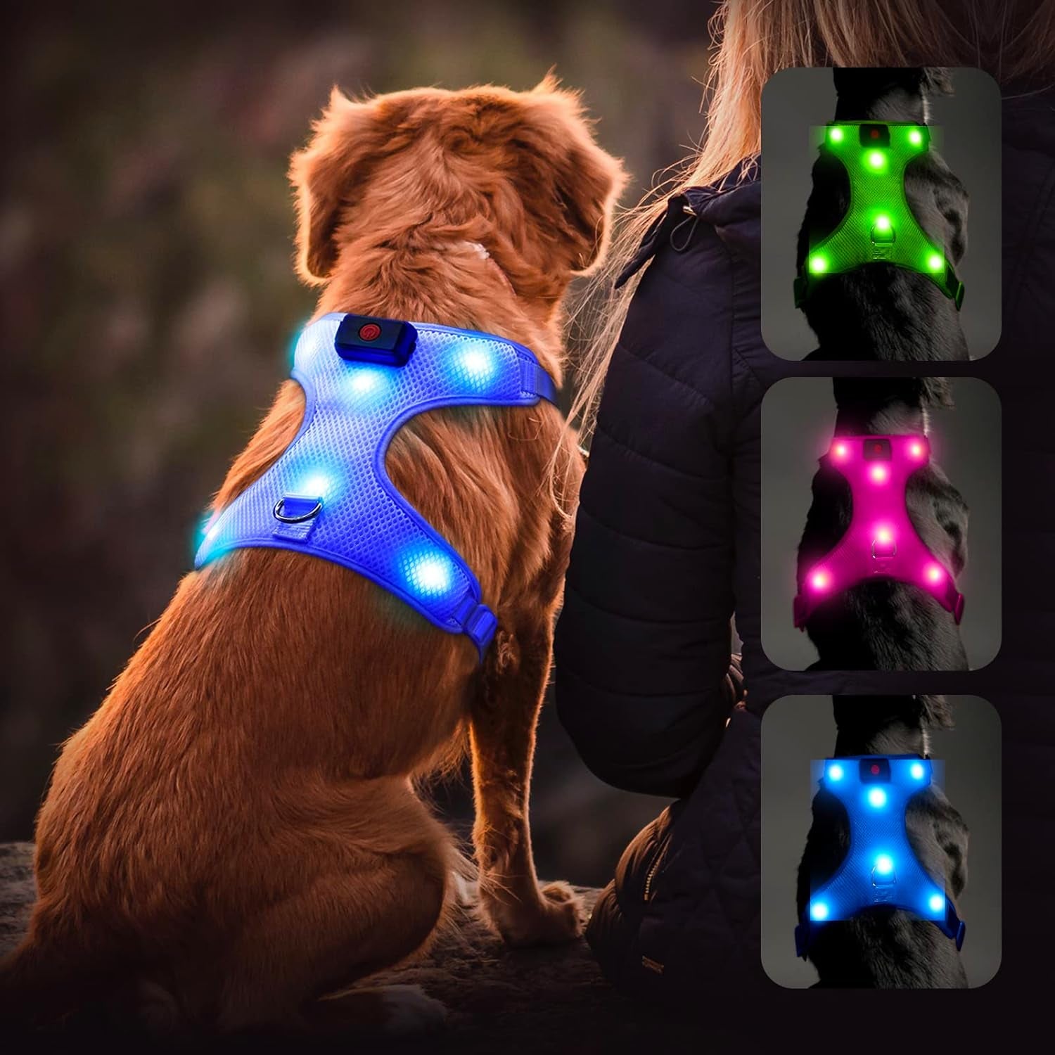 LED Dog Harness, Lighted up USB Rechargeable Pet Harness, Illuminated Reflective Glowing Dog Vest Adjustable Soft Padded No-Pull Suit for Small, Medium, Large Dogs (Blue, L)