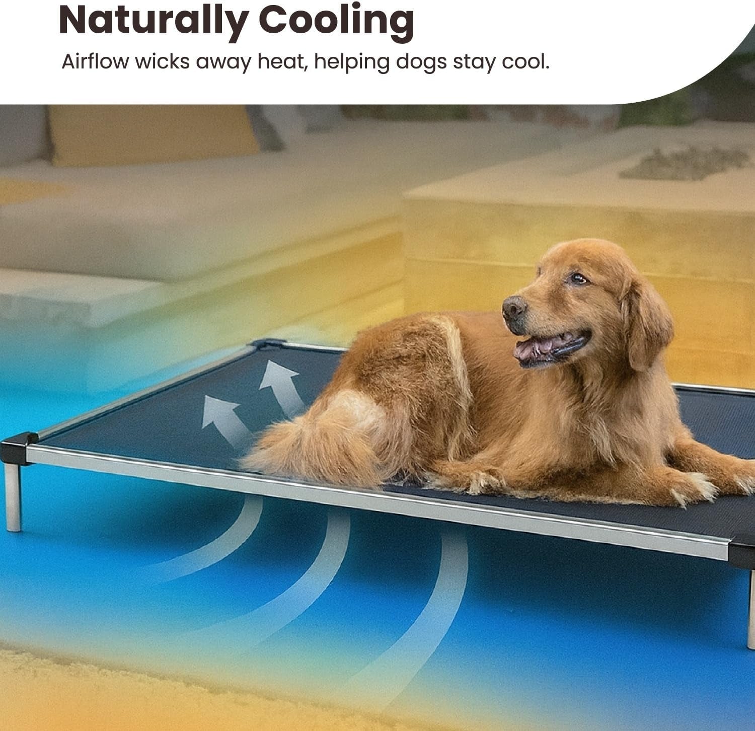 Chew Proof Elevated Cooling Dog Bed - Made for Aggressive Chewers, Virtually Indestructible, Ripstop Fabric with No Padding, Pre-Assembled - Large, Seasonal (Old) Black