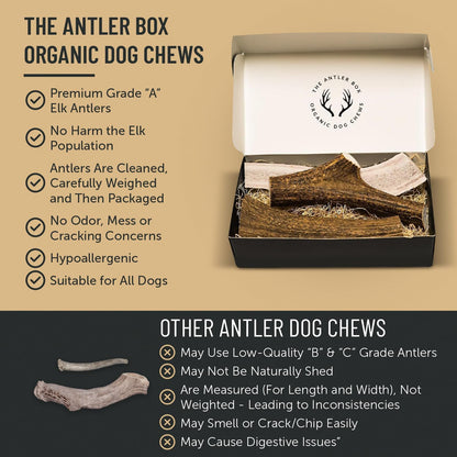 The Antler Box Premium Elk Antler Dog Chews (1 Pound Box) (Small (7-8 Pieces) Whole/Split Mixed)