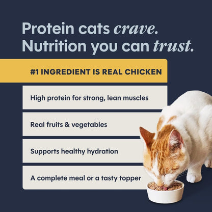 Original Grain Free Real Chicken Recipe Natural Wet Canned Cat Food, 5.5 Ounce (Pack of 12)