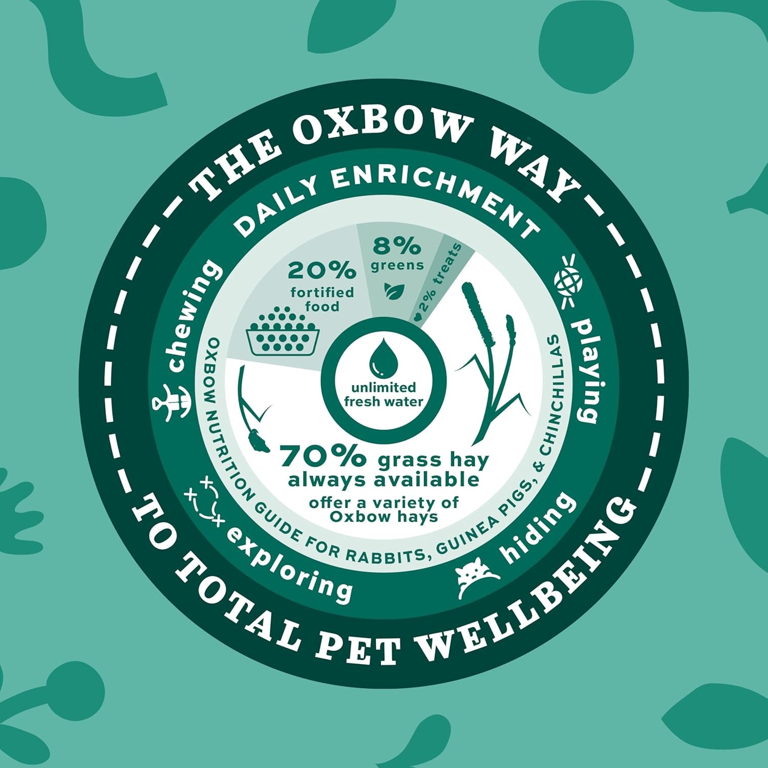 Western Timothy Hay, Guinea Pig Hay, Small Pet Bunny Supplies, All Natural Grass for Guinea Pig, Bunny, Chinchilla & Hamster,  Rabbit Supplies for Bunnies, 90 Oz. Bag