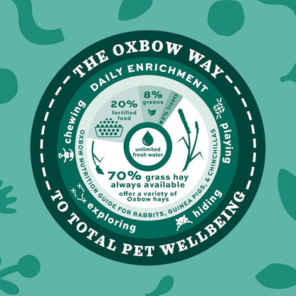 Western Timothy Hay, Guinea Pig Hay, Small Pet Bunny Supplies, All Natural Grass for Guinea Pig, Bunny, Chinchilla & Hamster,  Rabbit Supplies for Bunnies, 90 Oz. Bag