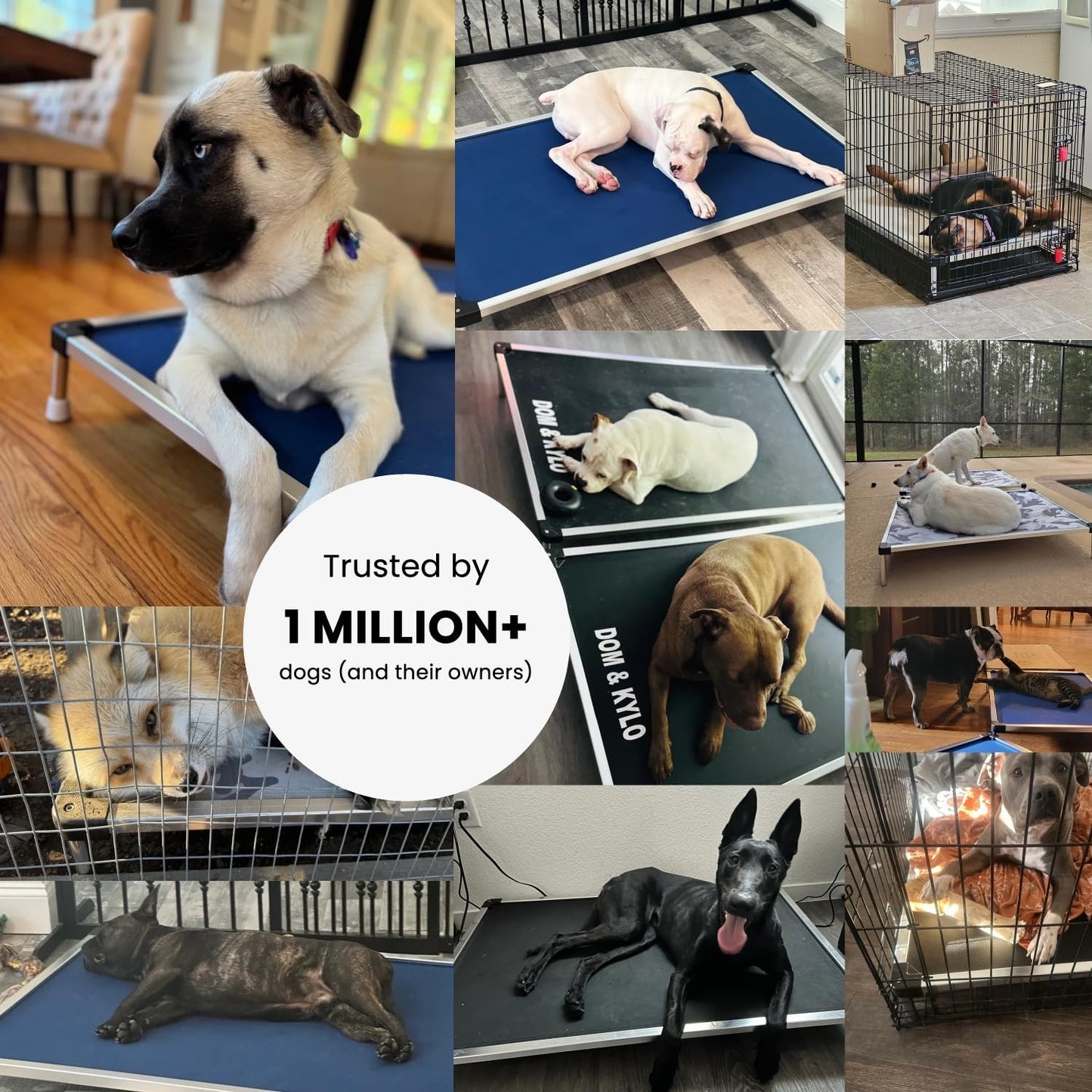 Chew Proof Elevated Cooling Dog Bed - Made for Aggressive Chewers, Virtually Indestructible, Ripstop Fabric with No Padding, Pre-Assembled - Large, Seasonal (Old) Black